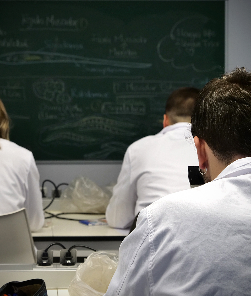 Estudiantes de la Facultad de Medicina hacen uso de microscopios, en el fondo una pizarra contiene anotaciones sobre la tarea