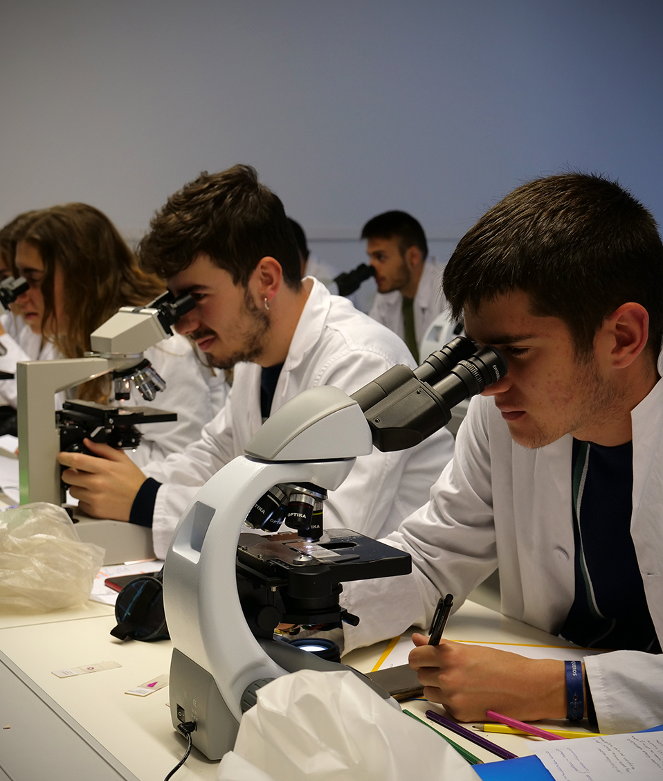 Estudiantes de la Facultad de Medicina realizan una sesión práctica de observación mediante microscopio